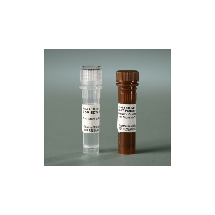 Halt™ Protease and Phosphatase Inhibitor Cocktail (100X), 1mL : Saintone(주)
