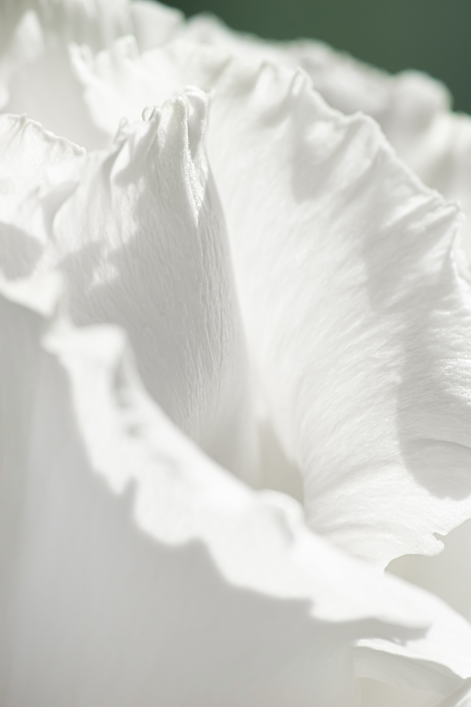 mobile background