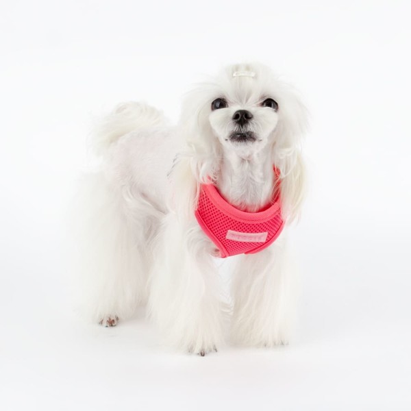 Puppia Neon Soft Vest Harness® B