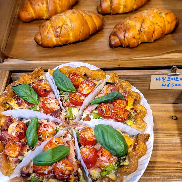 [제주 제주시] 청단풍