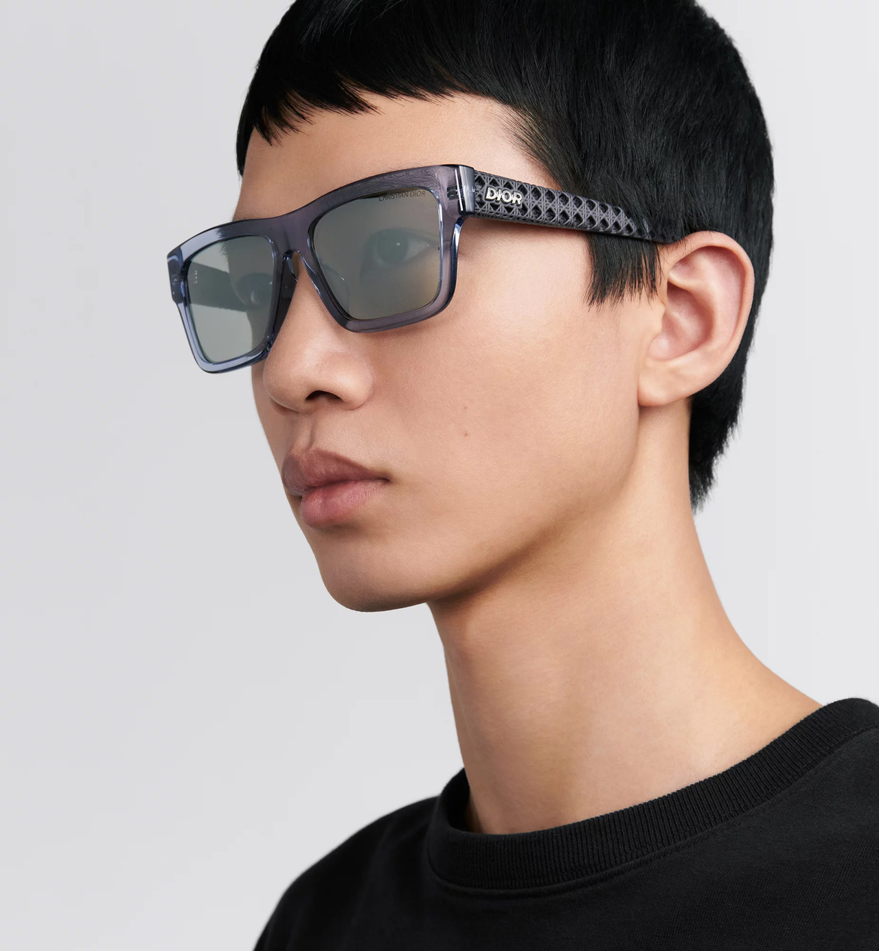 Dior3D S2F 