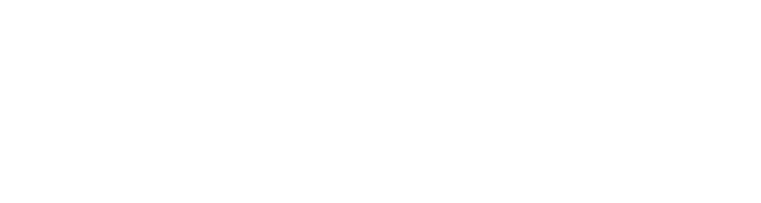 정형피앤에프