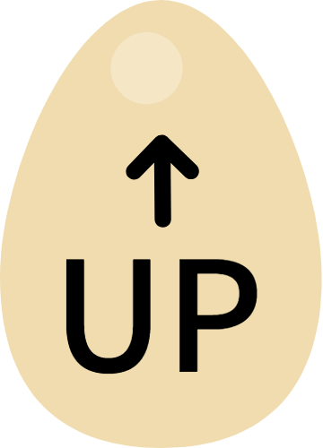 Scroll to top