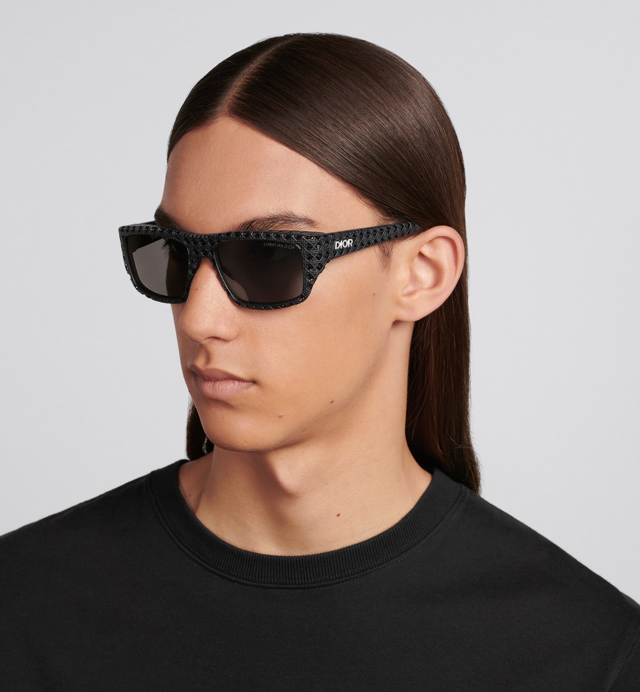 Dior3D S1I