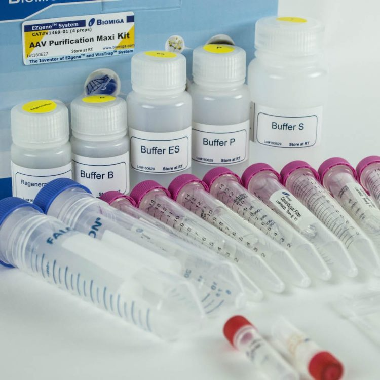 Adeno-Associated Virus (AAV) Purification Maxi Kit, All Serotypes ...
