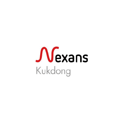 넥상스 극동