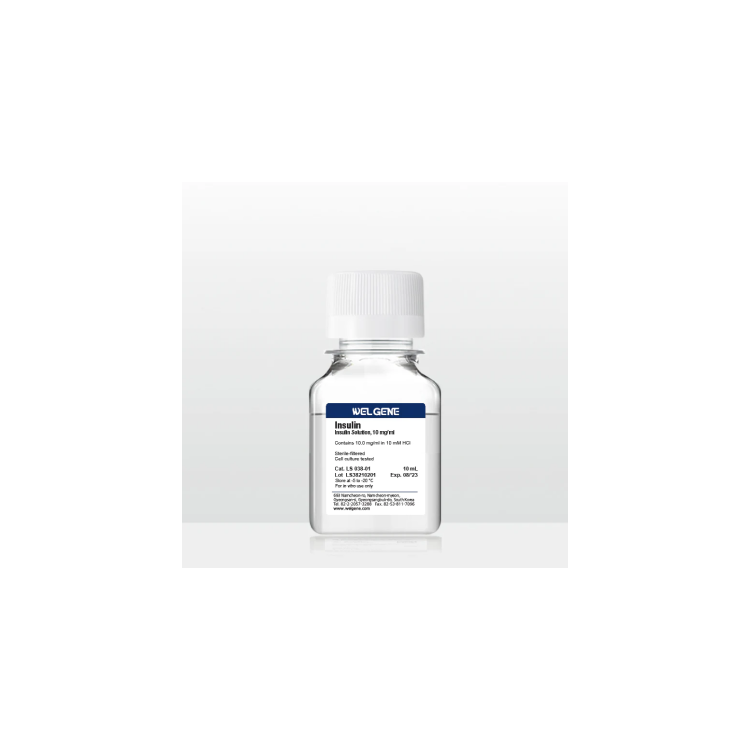 Insulin solution (10 mg/ml) 10mL : Saintone(주)