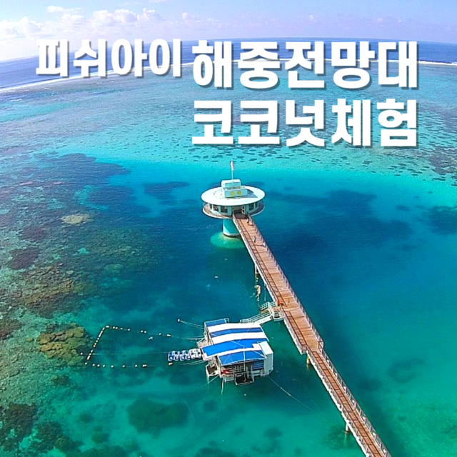 괌피쉬아이 코코넛체험
