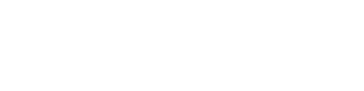 주식회사 썬더버드 - 공공 IT서비스 전문기업