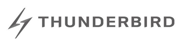 주식회사 썬더버드 - 공공 IT서비스 전문기업