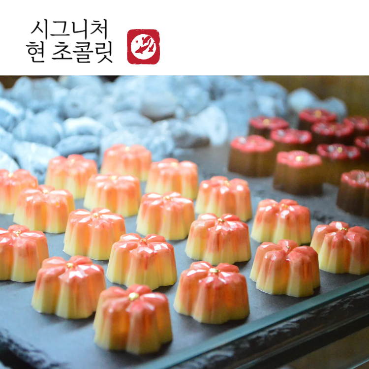 <p style="text-align:left; font-size:16px; margin-top:26px;">시그니처 현 초콜릿<br><span style="color:#666;">₩ 6,000, ₩ 24,000</span></p>