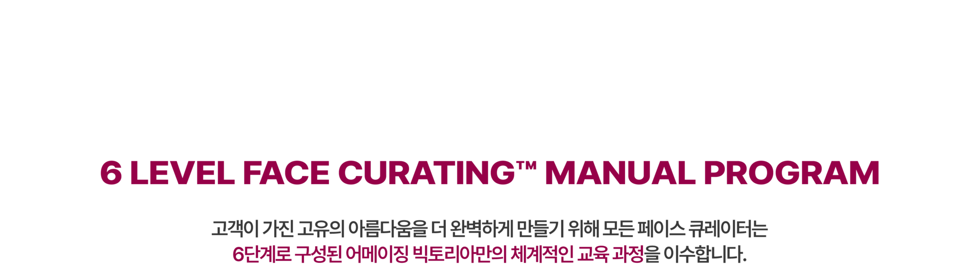 6 LEVEL FACE CURATING™ MANUAL PROGRAM  고객이 가진 고유의 아름다움을 더 완벽하게 만들기 위해 모든 페이스 큐레이터는 6단계로 구성된 어메이징 빅토리아만의 체계적인 교육 과정을 이수합니다.