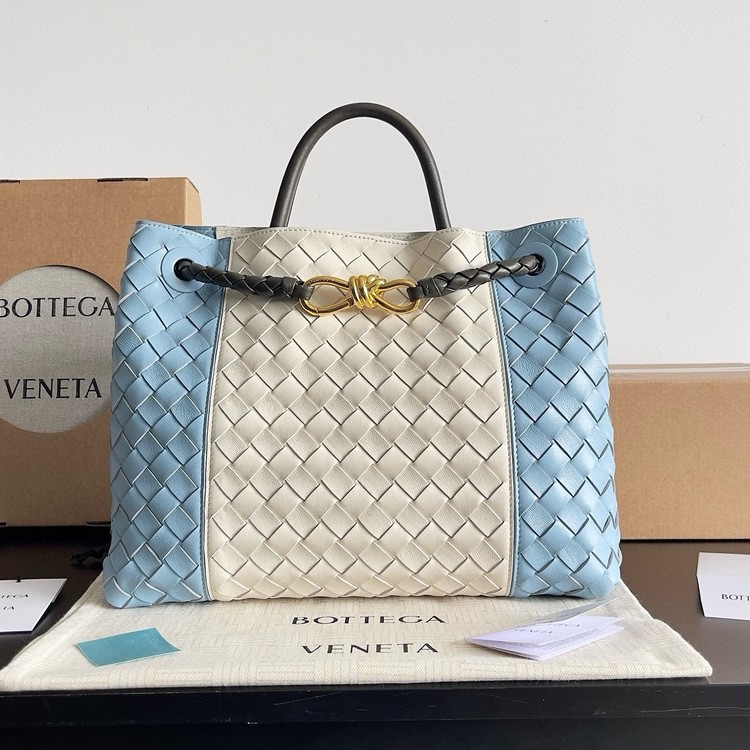 보테가 베네타 미디엄 안디아모