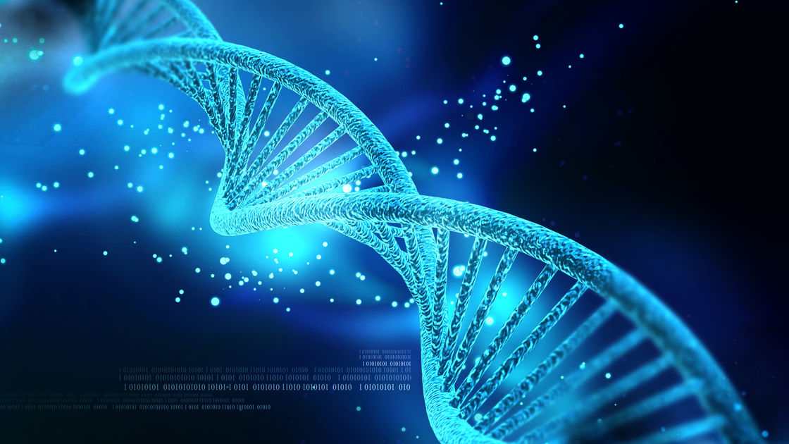 <br><br><br> Main ingredients <br><br> Specially formulated 5% of EXOSOME <br> Serenoa repens extract <br> Peptides <br> Resveratrol <br> Glycosaminoglycans <br> Fucoidan