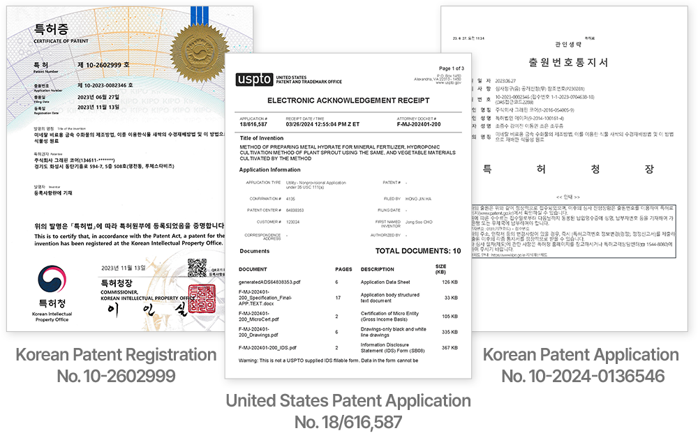 [Domestic and foreign patent ]