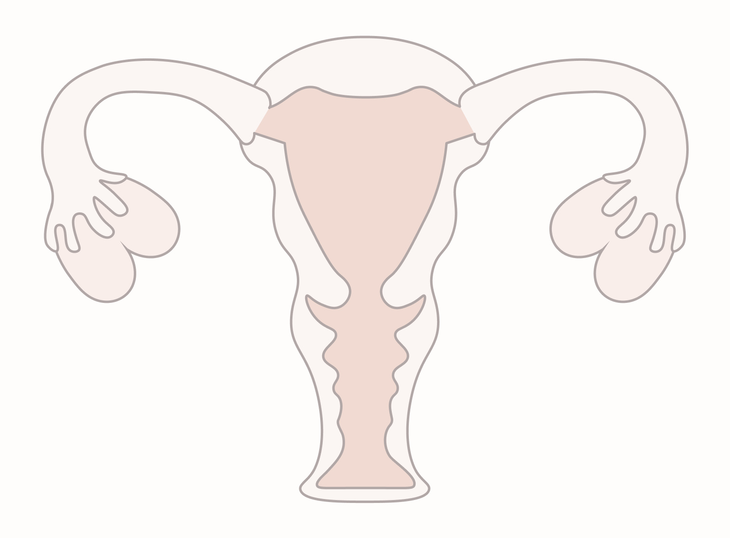 <strong>질 필러 전</strong>