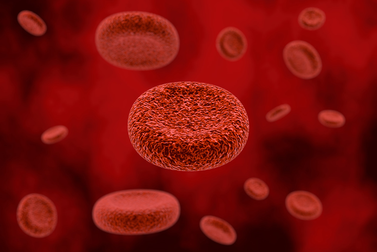 <p><br></p><p style="text-align: left; margin-left:30px;">     <span style="font-size: 20px; color: #b32124; ">         <strong>CHOICE 03.</strong>     </span> </p>  <p style="text-align: left; margin-left:30px;">     <span style="font-size: 28px; color: #363636;"><strong>혈전 용해제</strong></span> </p>