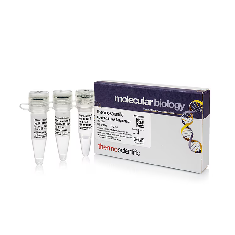 EquiPhi29™ DNA Polymerase 1000 U : Saintone(주)