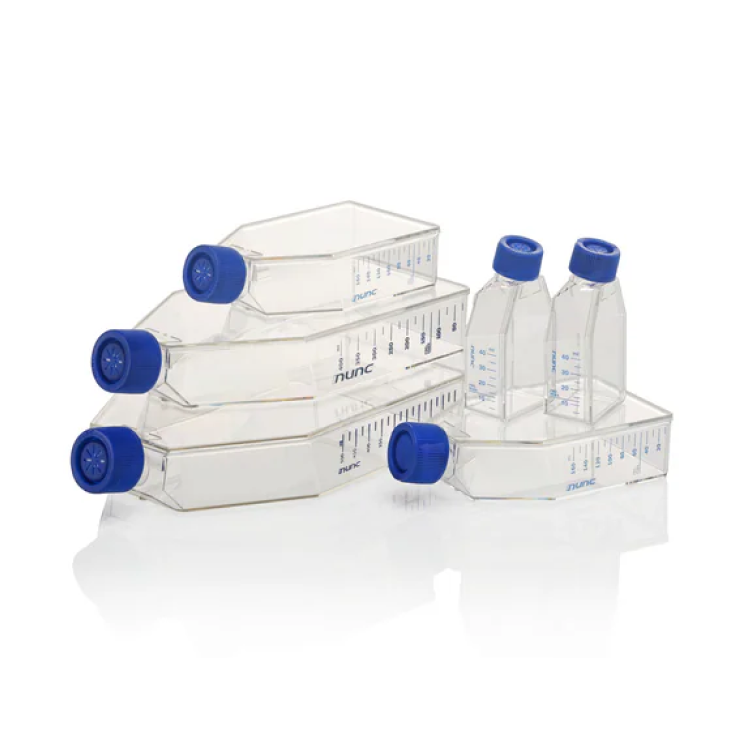 Nunc™ Poly-D-Lysine or Collagen I Coated EasYFlasks™ 30/cs : Saintone(주)