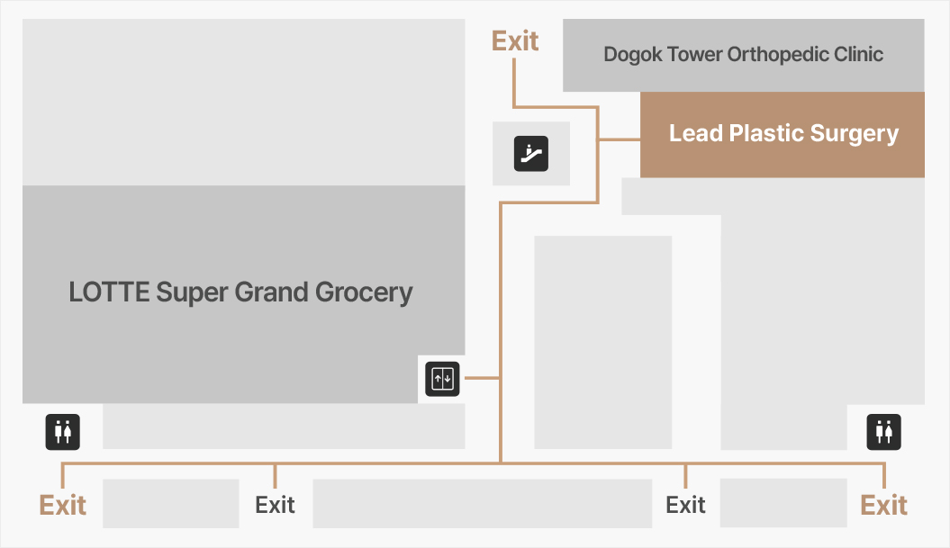 Korea Lead Plastic Surgery Directions