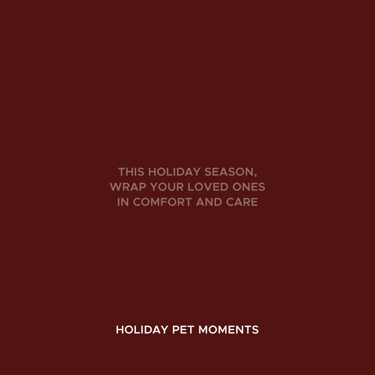 HOLIDAY PET SKIN CARE