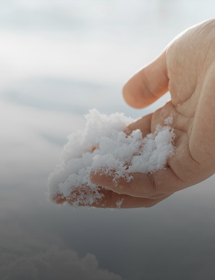 <div class="core_en">Nature's Purest Essence</div> <div class="core_title">자연이 선사하는 순수한 성분</div>