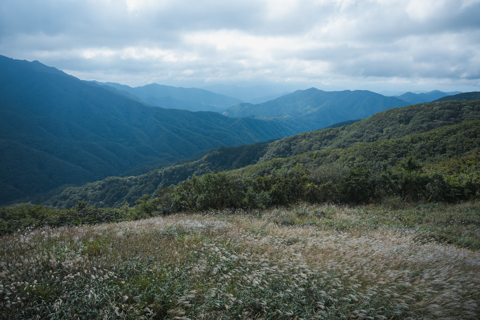 2026 장수트레일레이스 Spring 코스 안내 2