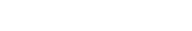 SEGMENT