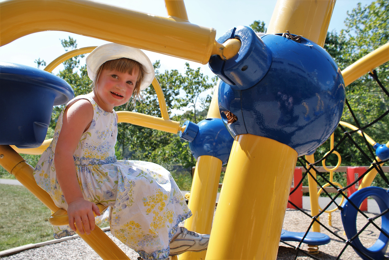 <strong>Disabled Employment Quota System</strong>