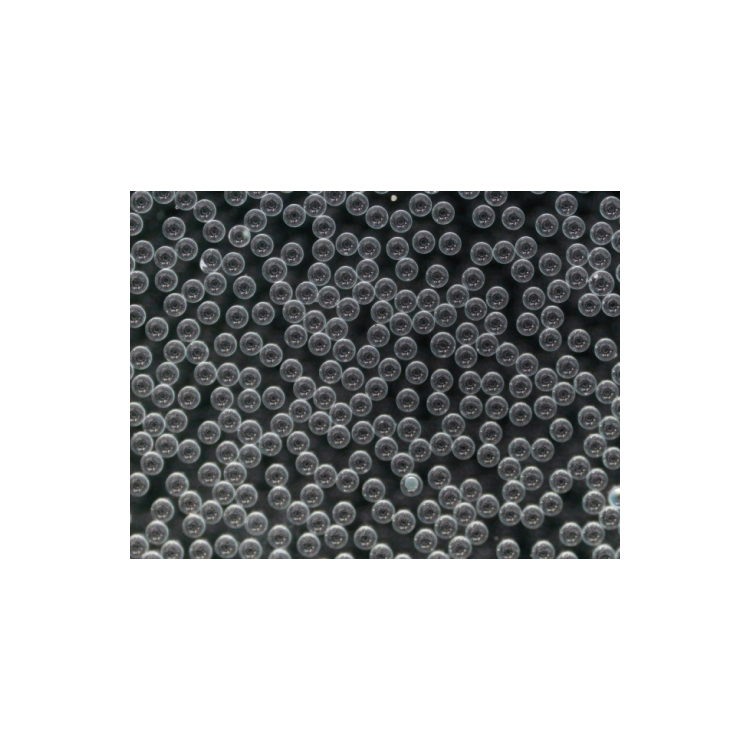 Polystyrene Microspheres 1.07g/cc 4.8-5.8um - 200mg : Saintone(주)