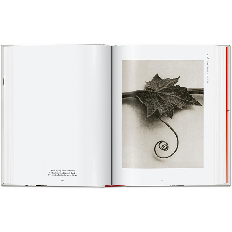 Karl Blossfeldt（カール・ブロスフェルト）: The Complete