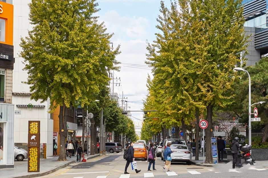 Korea Lead Plastic Surgery Nearby Attractions Dining and Nightlife Garosu-gil