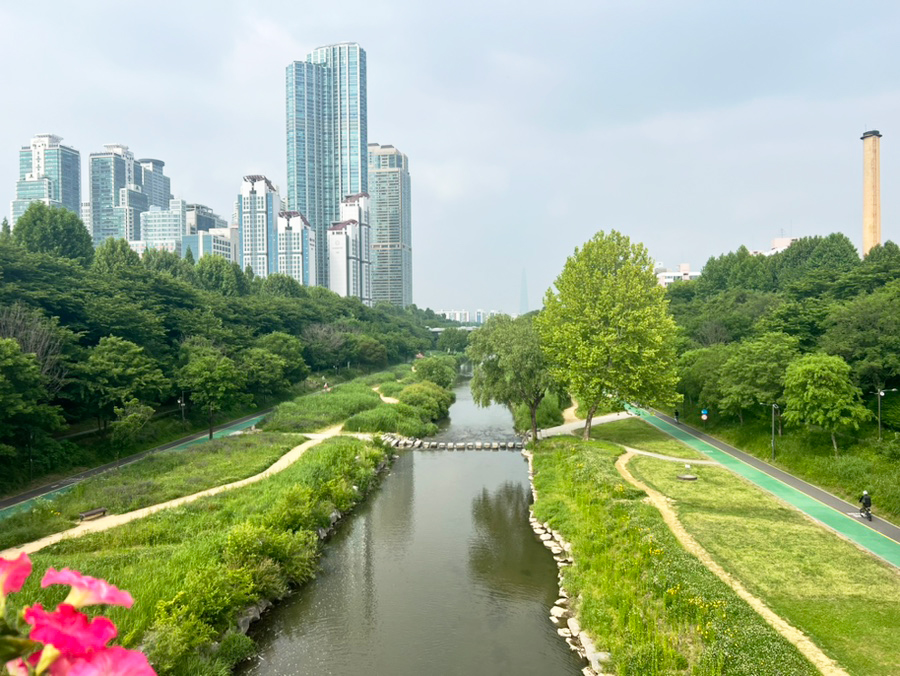 Korea Lead Plastic Surgery Nearby Attractions Cultural and Natural Spaces Yangjaecheon Stream