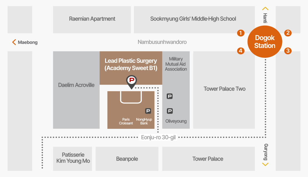 Korea Lead Plastic Surgery Directions