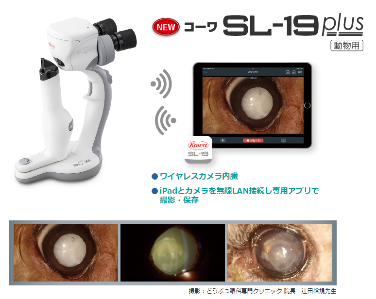 KOWA SL19 PLUS KGMP  허가획득