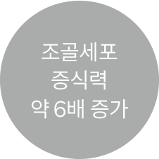 Xpeed Active 특징 2