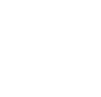 세링게티스튜디오 로고