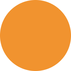 <p style="font-weight: 600; padding-top: 10px;">2025</p>