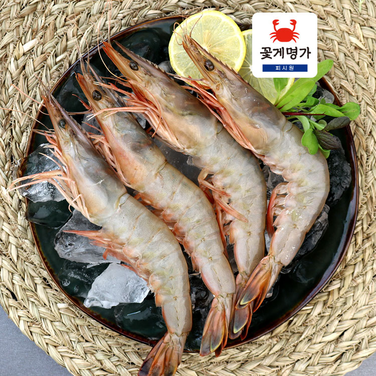 안면도 자연산 대하 1kg 생물 냉동 왕새우 대하 제철 선물 캠핑 [피시원] : 피시원