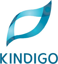 kindigo global