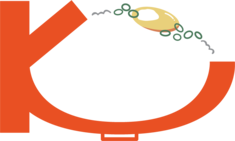 K비빔밥 - 지금 바로 성공적인 한식 창업을 시작하세요. K비빔밥이 함께합니다.