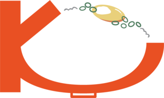 K비빔밥 - 지금 바로 성공적인 한식 창업을 시작하세요. K비빔밥이 함께합니다.