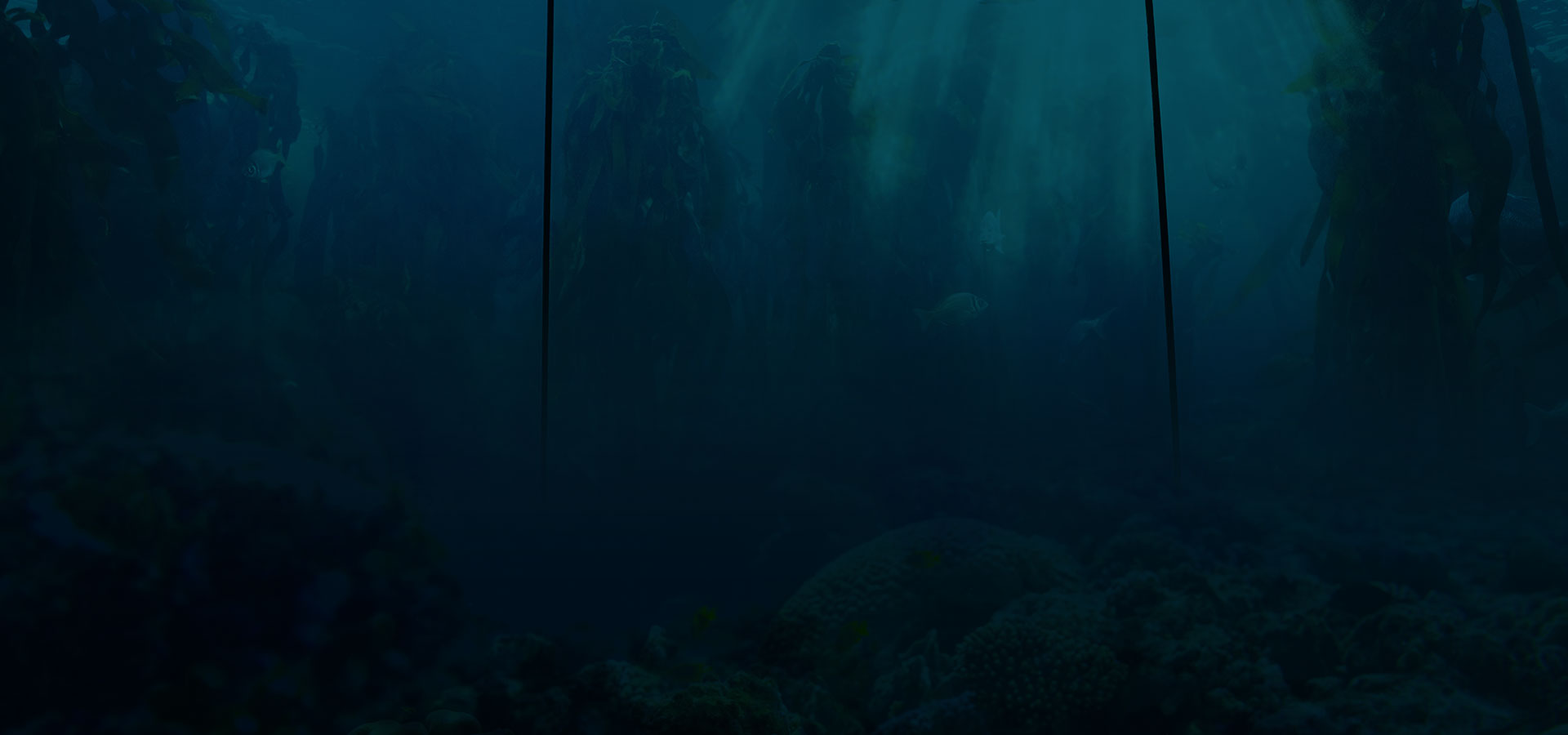 mobile background