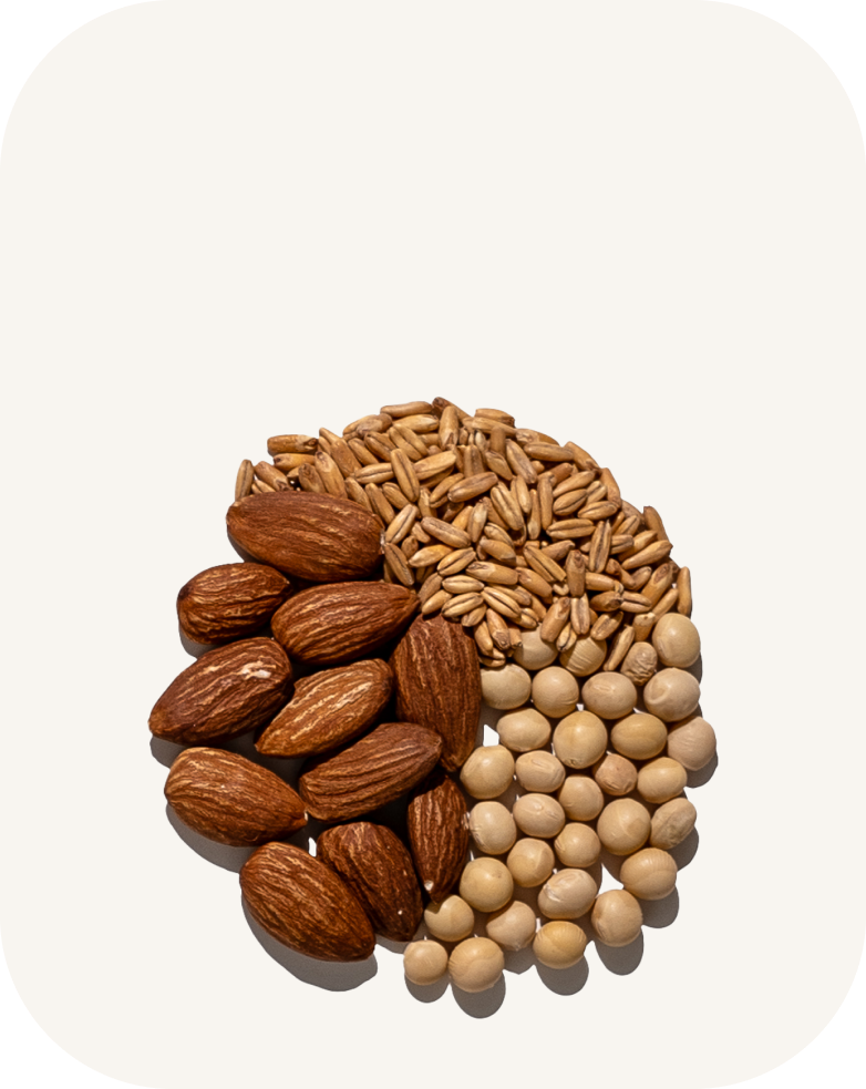 <p style="font-weight: 700; background-color: #252720; border-radius: 15px; padding: 5px 10px; width: fit-content; margin: 5px auto;">Mixed<br>Crops</p>