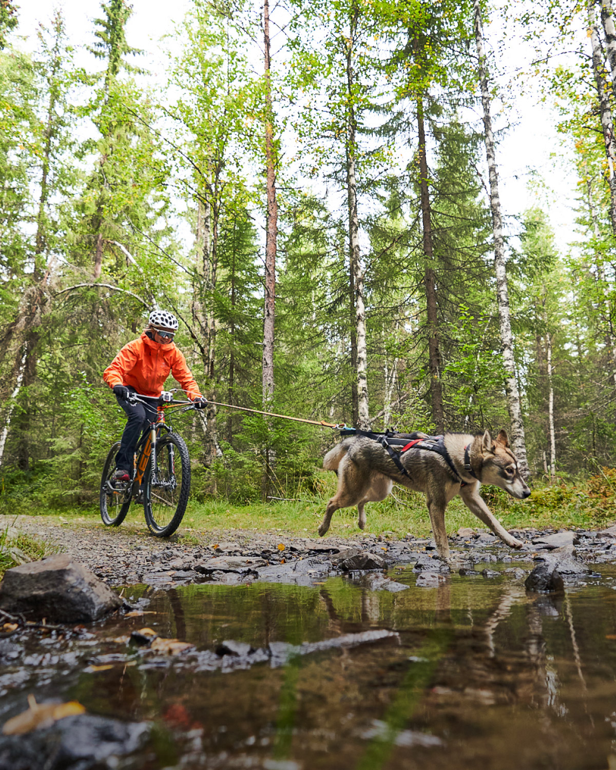 <div class="activity-card-text"> 	<p class="activity-card-title">Biking</p> 	<p class="activity-card-subtitle">바이킹</p> </div>