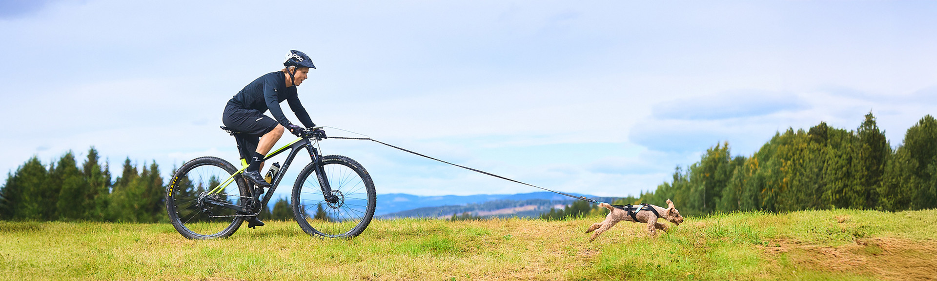 <div class="activity-header-text">   <p class="activity-header-title">Biking</p>   <p class="activity-header-subtitle">반려견과 함께하는 특별한 라이딩</p> </div>