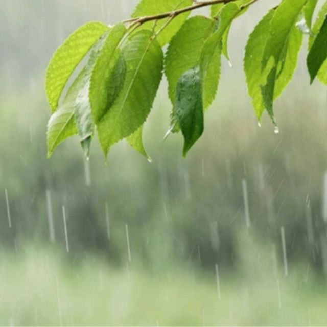 안면홍조 환자가 주의해야 할 날씨 원주 원더스 피부과