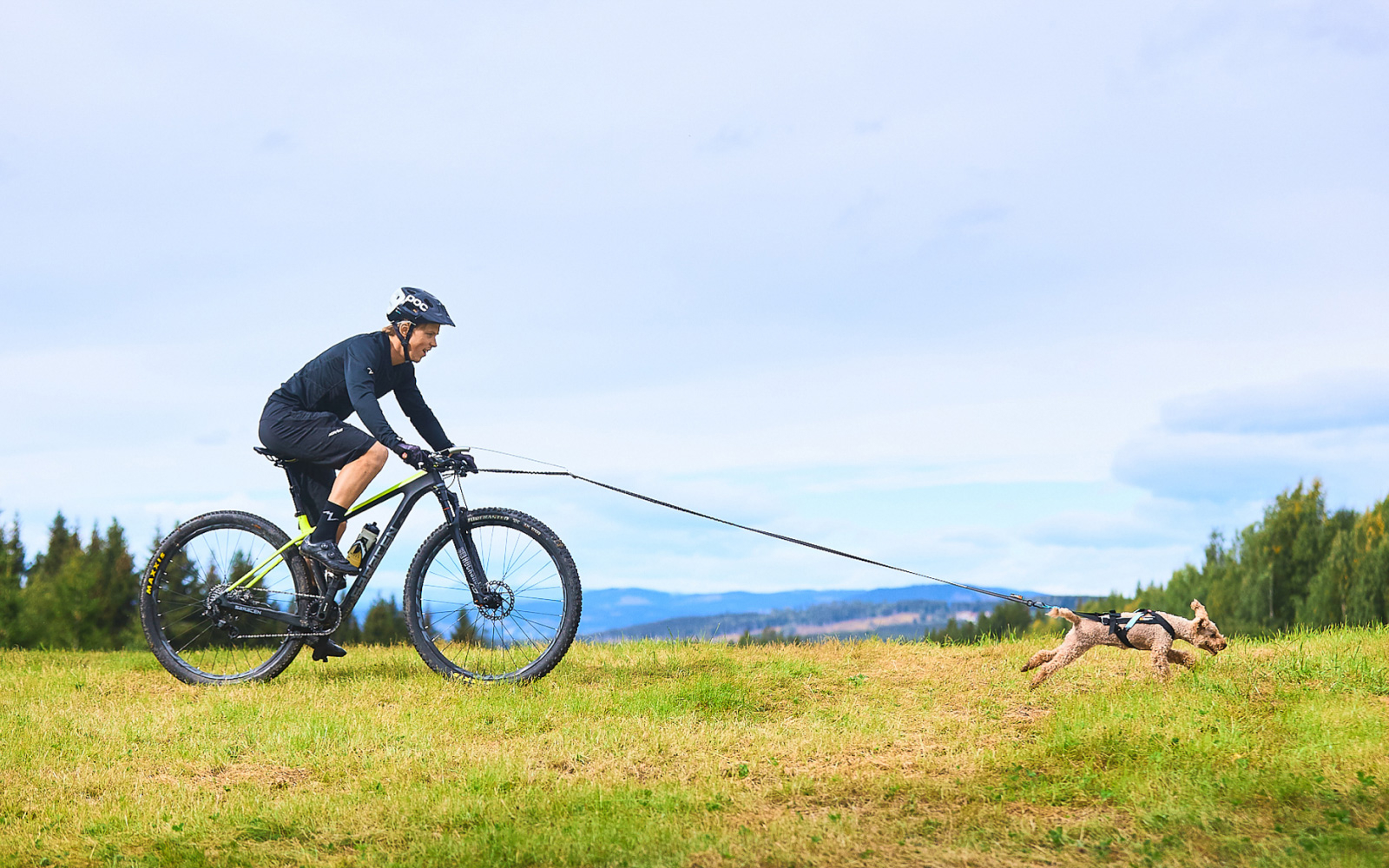 <div class="activity-header-text">   <p class="activity-header-title">Biking</p>   <p class="activity-header-subtitle">반려견과 함께하는 특별한 라이딩</p> </div>