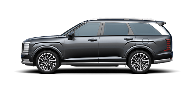 <p style="text-align: center; font-size: 18px; font-weight: 600; font-family: '나눔스퀘어' ">팰리세이드</p>