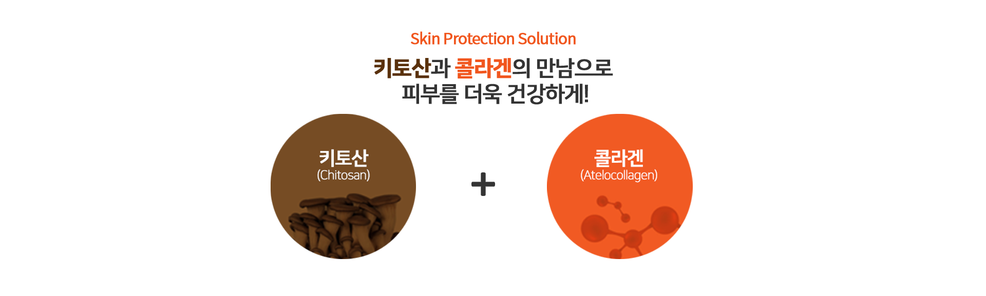 키토산과 콜라겐의 만남으로 피부를 더욱 건강하게 키오머플러스 원주피부과 원더스의원